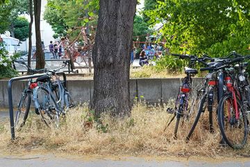 Fahrräder parken rücksichtslos auf und neben den Baumscheiben.
