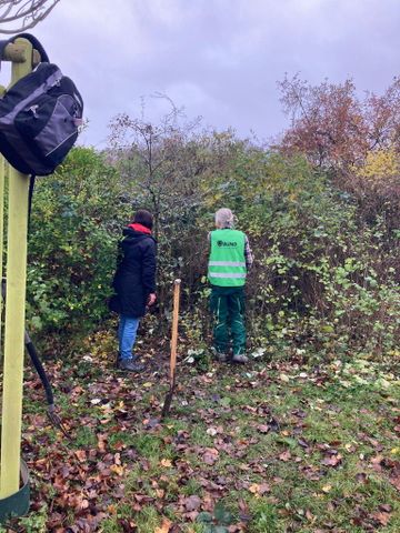 Freiwillige Helfer*innen bei der Heckenpflege