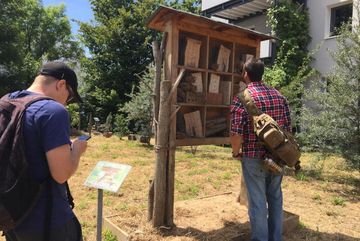 Insektenhotel in einer Wohneinheit in Köln-Zollstock.