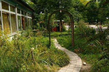 Insektenfreundlicher Schulgarten in der GGS Schmittgasse in Köln Zündorf.