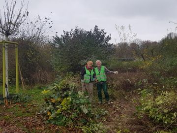 Freiwillige Helfer*innen vor Brombeer-Grünschnitt