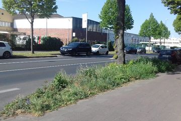 Die Patenschaftsfläche auf der Dillenburger Strasse in Köln Kalk.