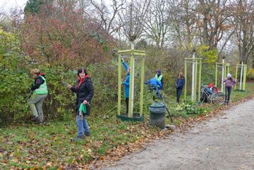 Heckenpflege am Aquarienweg