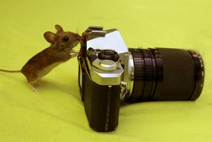 Wohl die kleinste Fotografin der Welt