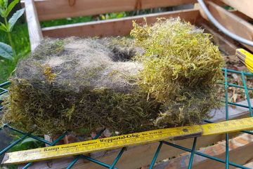 Nistmaterial als einem Vogelnistkasten.