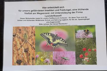 Die Tafel weist auf die Artenvielfalt am Wegesrand hin.