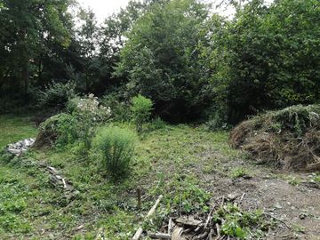 Naturerlebnisgarten Klettenberg