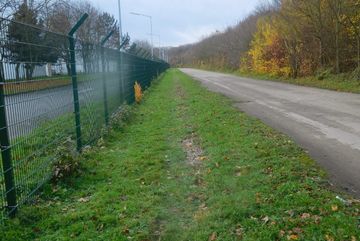 Intensiv gepflegter und mehrfach im Jahr gemähter Wegsaum.