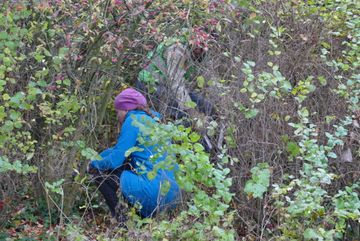 Freiwillige Helfer*innen bei der Arbeit