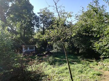 Der Naturerlebnisgarten Klettenberg im Spätsommer
