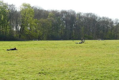Die Menschen genießen die Frühlings-Sonne auf der Gleueler Wiese.