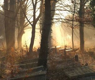 Jüdischer Friedhof Köln Deutz Nebel