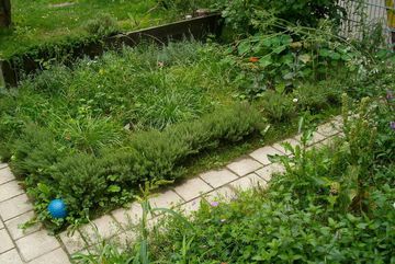 Ein Beet im Schulgarten der GGS Schmittgasse, welches noch von ein paar Gräsern befreit wird. 