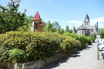 Das großblütige Johanniskraut (Hypericum patulum) steht in voller Blüte! Im Hintergrund die Nikolauskirche