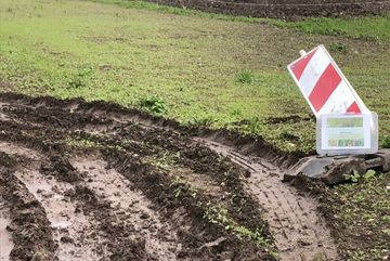 Ein zerstörter Blühstreifen, der mit landwirtschaftlichen Maschinen befahren wurde.