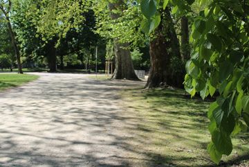Blick entlang eines Weges im Stadtgarten, wo eine Hecke entstehen könnte.