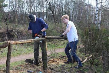 Die Ehrenamtlichen des BUND Köln bauen ein neues Geländer in der Dellbrücker Heide auf.
