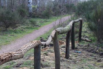 Das fertige neue Geländer in der Dellbrücker Heide, welches von Ehrenamtlichen des BUND Köln aufgebaut wurde.