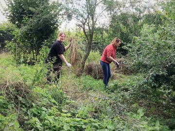 Gartenarbeit