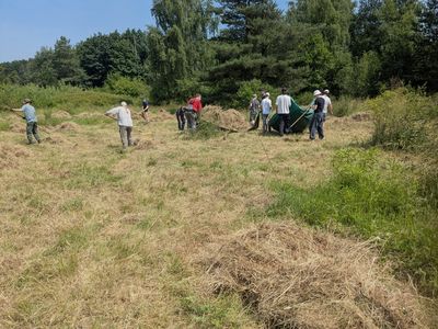 Das Bild zeigt Ehrenamtlich des BUND Köln beim Abräumen des Heus auf einer Wiese