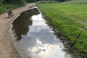 Am Blühstreifen gibt es Laichgewässer.
