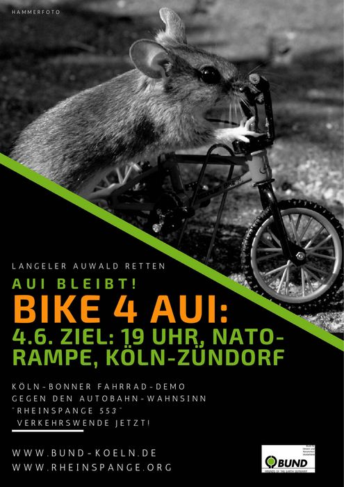 Bikermaus Sharepic mit Infos zur Fahrraddemo am 04.06