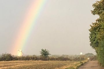 Ein Regenbogen am Blühstreifen.