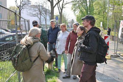 BUNDte Insel Stadtnatur - Exkursion in Lindenthal
