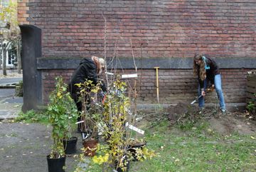 Die ehrenamtlichen und freiwilligen Helfer vom BUND bei der Bepflanzung und Planung des Gärtchens. 