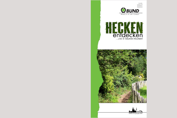 Flyer zum BUND-Projekt "Urbane Hecken und Säume".