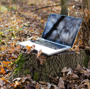 Laptop auf Baumstumpf