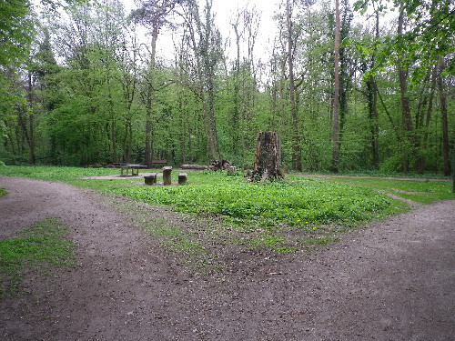 Thielenbrucher Wald