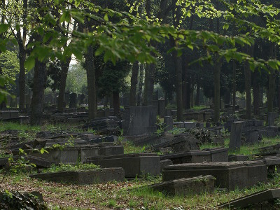 Gräber auf dem ökologisch gepflegten Jüdischen Friedhof in Köln Deutz.