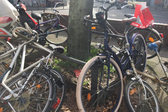 Viele Fahrräder werden einfach rücksichtslos an Baumscheiben abgestellt.