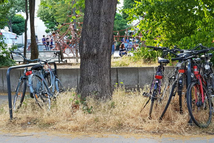 Fahrräder parken rücksichtslos auf und neben den Baumscheiben.