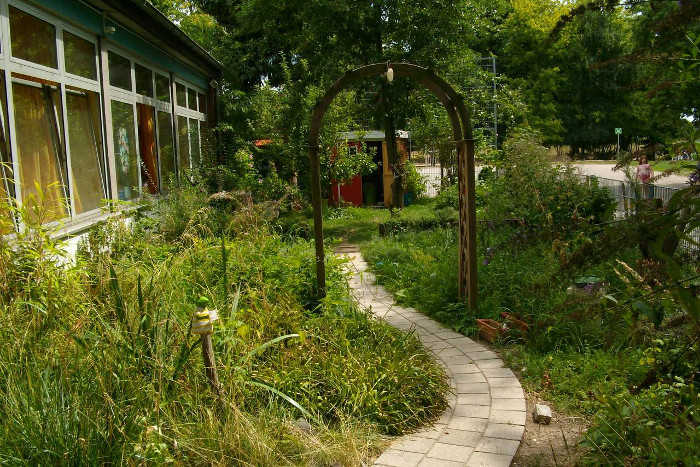 Insektenfreundlicher Schulgarten in der GGS Schmittgasse in Köln Zündorf.